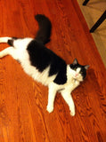 Corporate Fat Cat Chicago style giardiniera [2/10 heat] *Award Winner!*